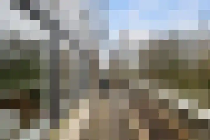 Waterschapsweg 4 Nieuwerkerk aan den IJssel thumbnail 33