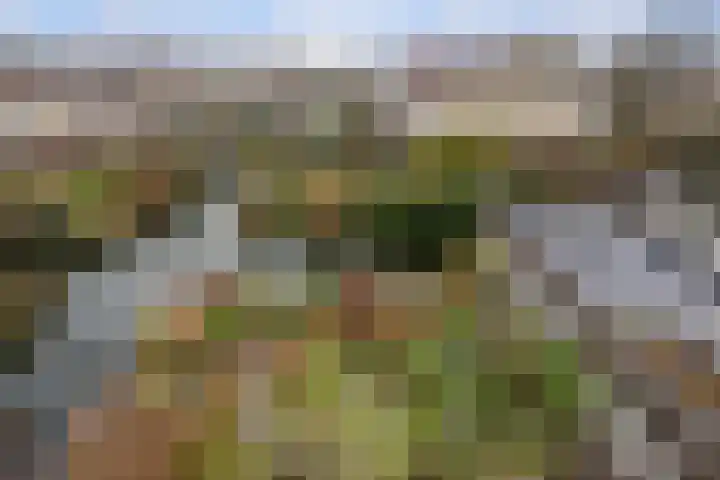 Waterschapsweg 4 Nieuwerkerk aan den IJssel thumbnail 36
