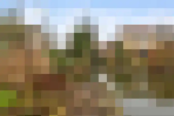 Waterschapsweg 4 Nieuwerkerk aan den IJssel thumbnail 38