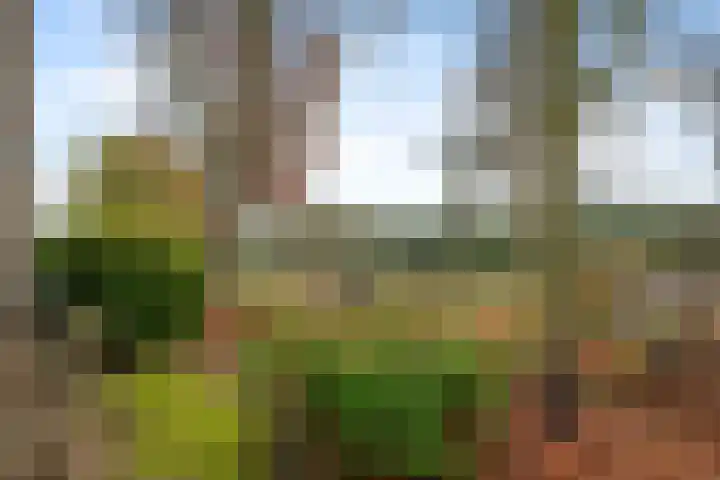 Waterschapsweg 4 Nieuwerkerk aan den IJssel thumbnail 40