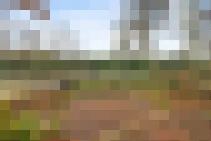 Waterschapsweg 4 Nieuwerkerk aan den IJssel thumbnail 41