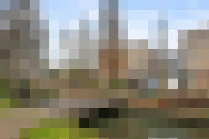 Waterschapsweg 4 Nieuwerkerk aan den IJssel thumbnail 42