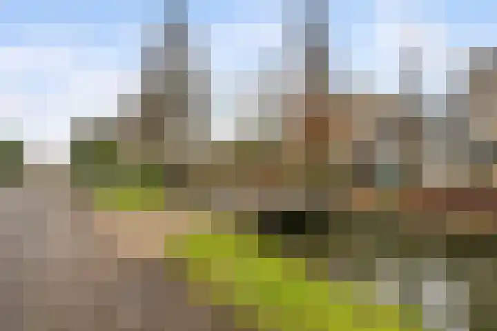 Waterschapsweg 4 Nieuwerkerk aan den IJssel thumbnail 43