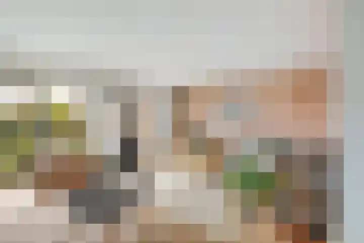 Waterschapsweg 4 Nieuwerkerk aan den IJssel thumbnail 5