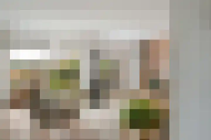 Waterschapsweg 4 Nieuwerkerk aan den IJssel thumbnail 8