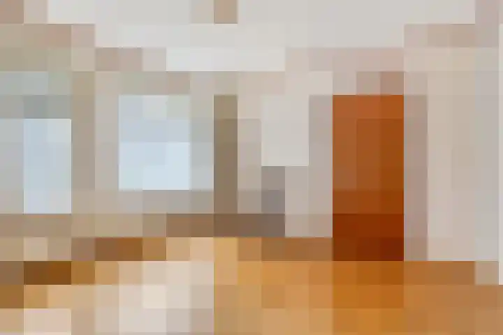 Waterschapsweg 6 Vledderveen thumbnail 18