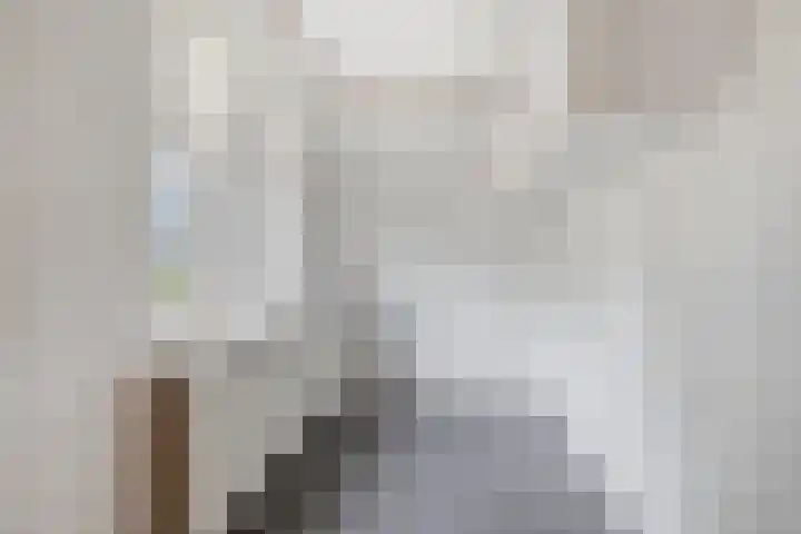 Waterschapsweg 6 Vledderveen thumbnail 23