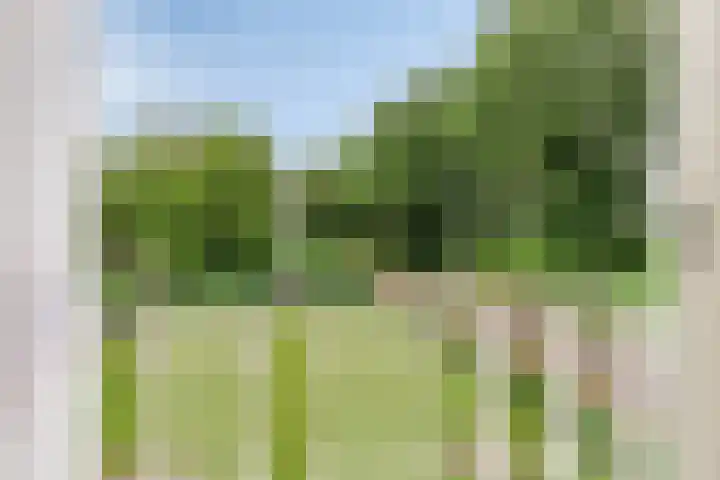 Waterschapsweg 6 Vledderveen thumbnail 34