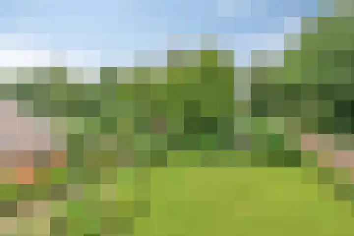 Waterschapsweg 6 Vledderveen thumbnail 35