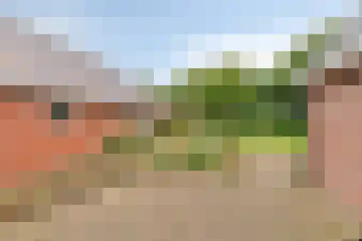 Waterschapsweg 6 Vledderveen thumbnail 38
