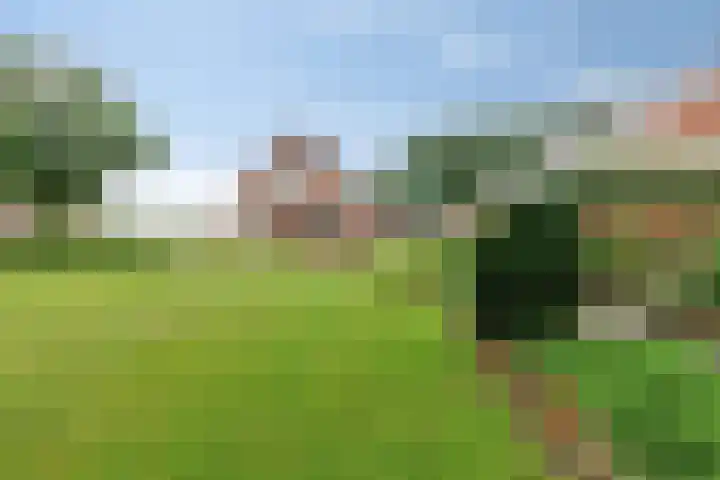 Waterschapsweg 6 Vledderveen thumbnail 4