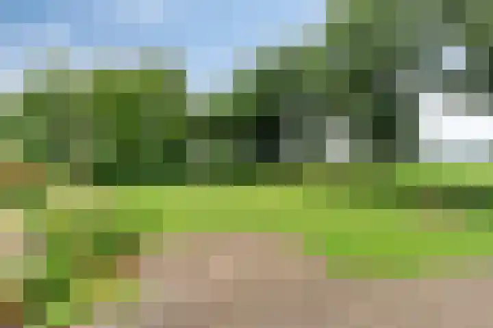 Waterschapsweg 6 Vledderveen thumbnail 43