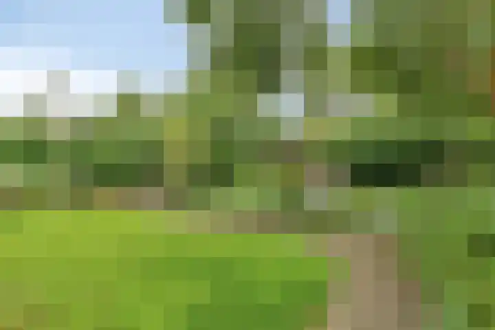 Waterschapsweg 6 Vledderveen thumbnail 44