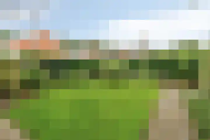 Waterschapsweg 6 Vledderveen thumbnail 45