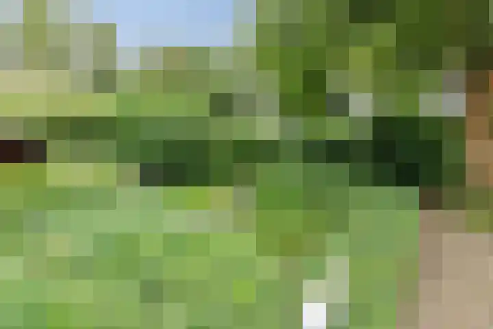 Waterschapsweg 6 Vledderveen thumbnail 46