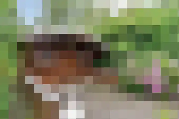 Waterschapsweg 6 Vledderveen thumbnail 47
