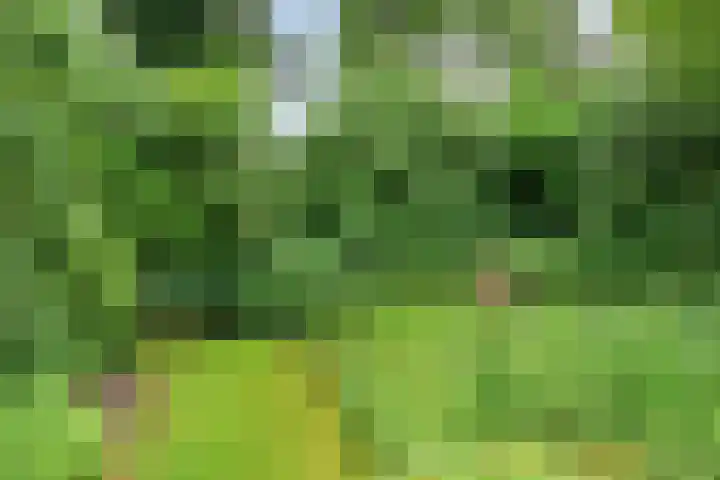 Waterschapsweg 6 Vledderveen thumbnail 48