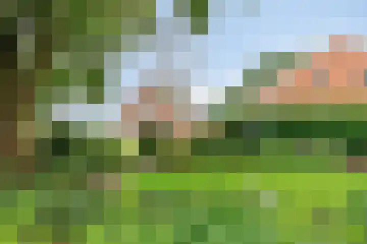 Waterschapsweg 6 Vledderveen thumbnail 49