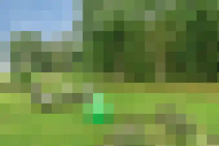 Waterschapsweg 6 Vledderveen thumbnail 50