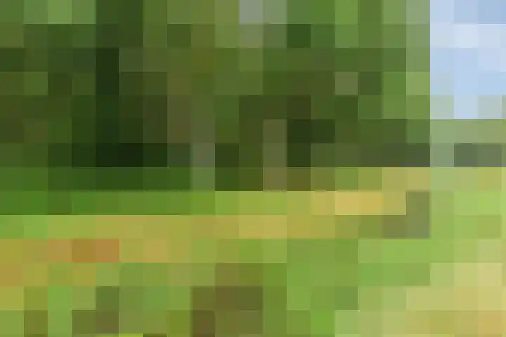 Waterschapsweg 6 Vledderveen thumbnail 51