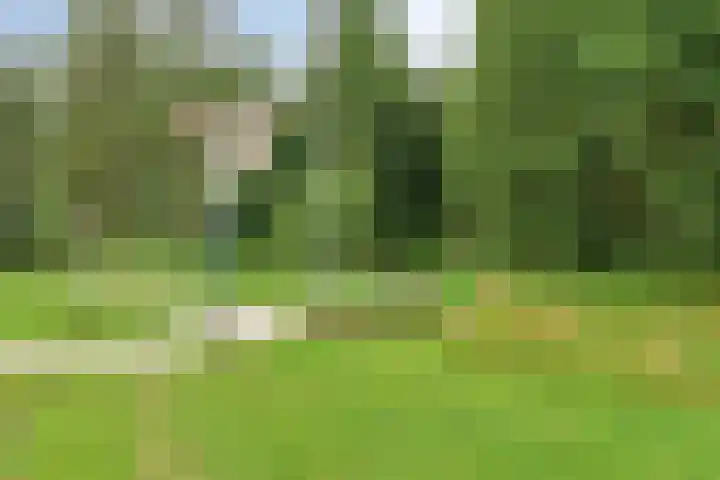 Waterschapsweg 6 Vledderveen thumbnail 52