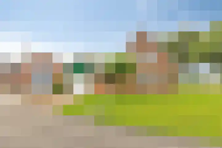 Waterschapsweg 6 Vledderveen thumbnail 57