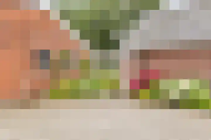 Waterschapsweg 6 Vledderveen thumbnail 8