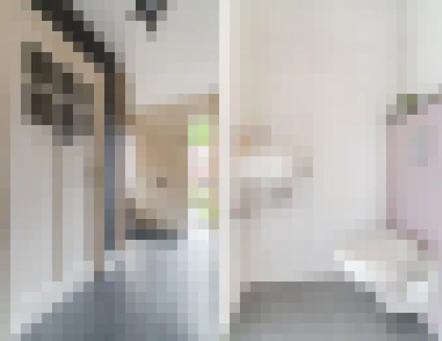 Waterscheerling 21 Oudkarspel thumbnail 17