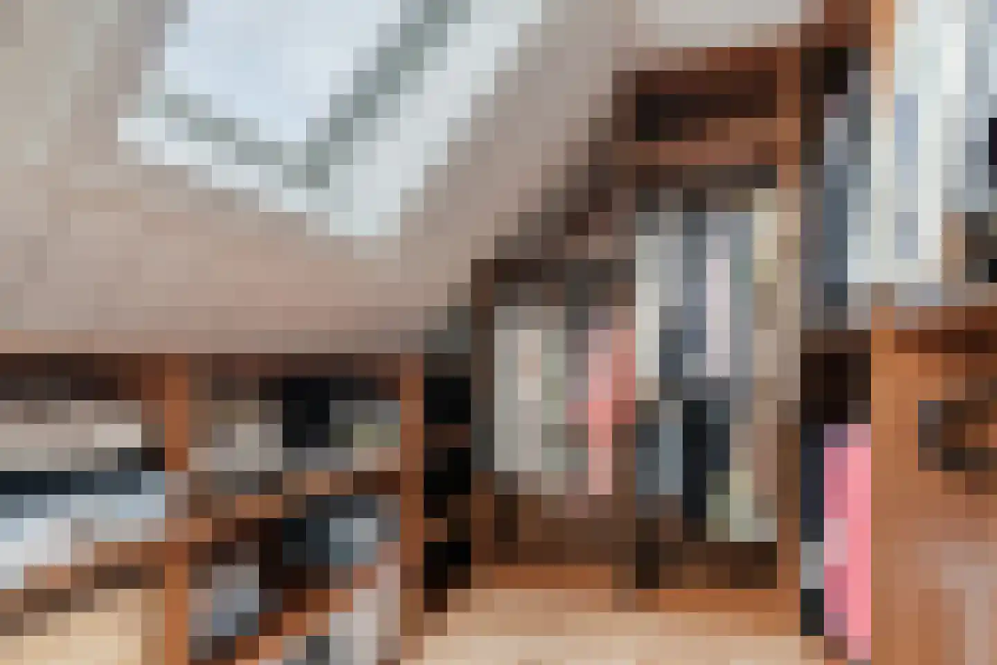 Waterscheerling 21 Oudkarspel thumbnail 27