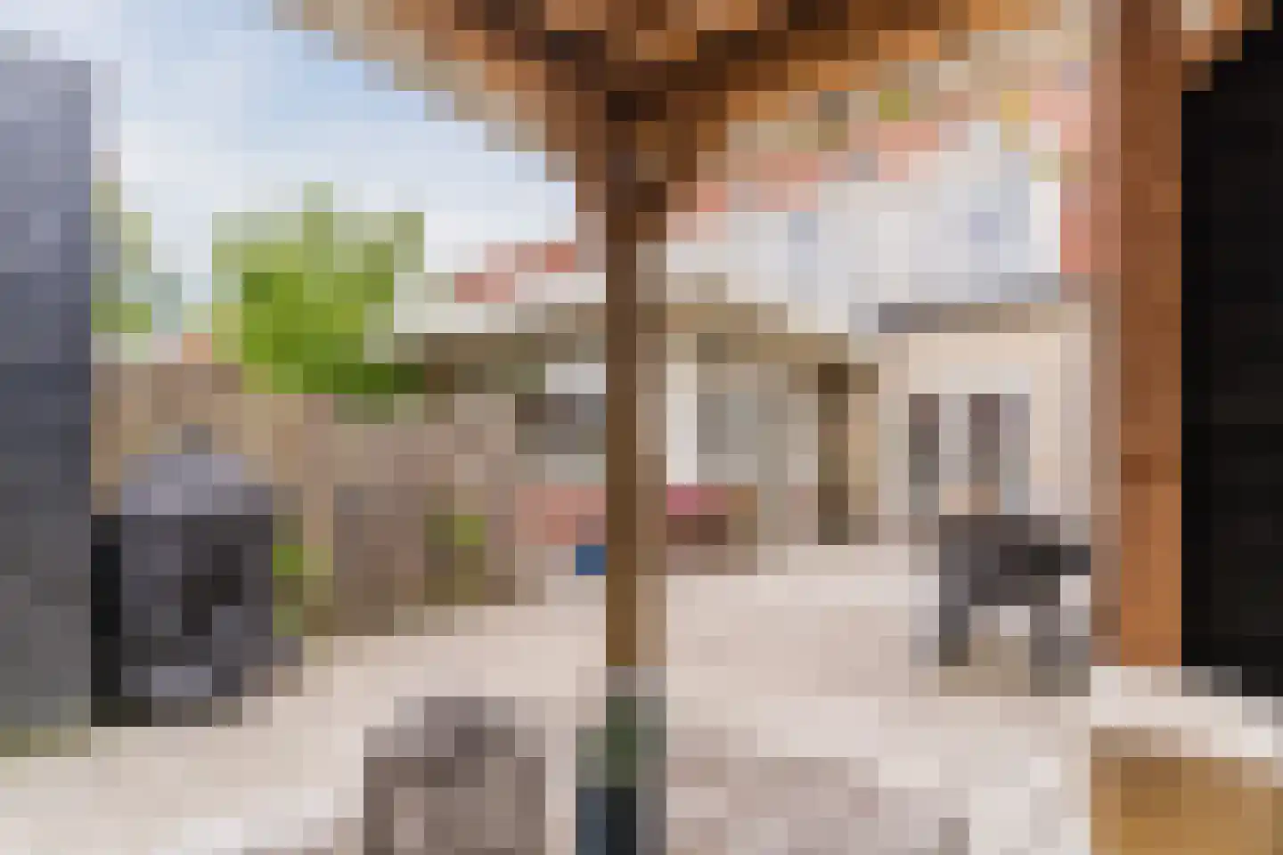 Waterscheerling 21 Oudkarspel thumbnail 37