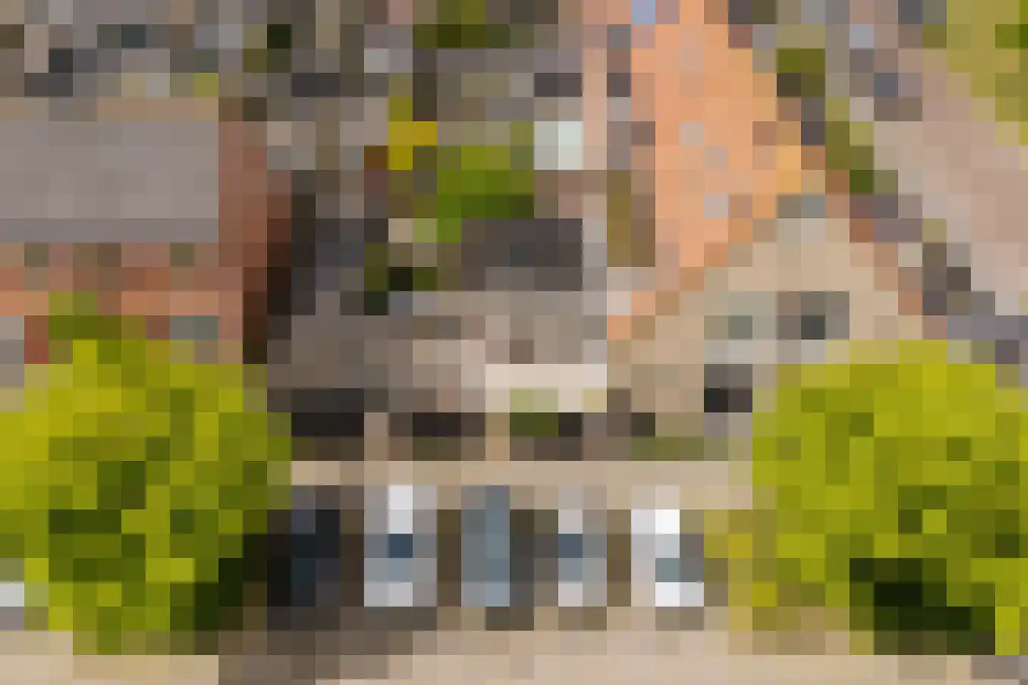 Waterscheerling 21 Oudkarspel thumbnail 39