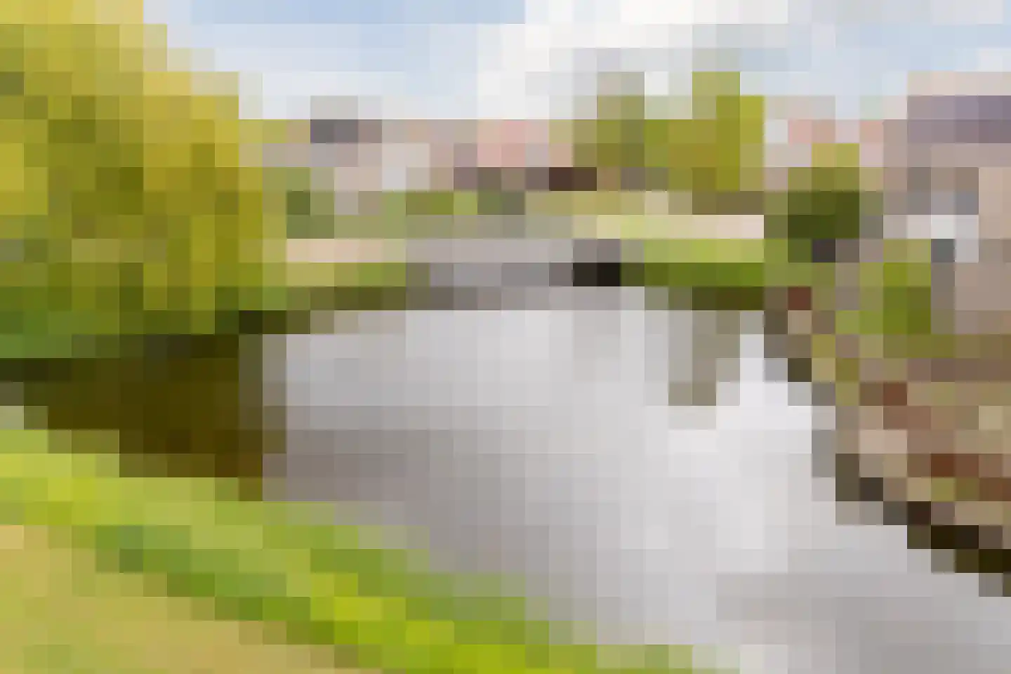 Waterscheerling 21 Oudkarspel thumbnail 43