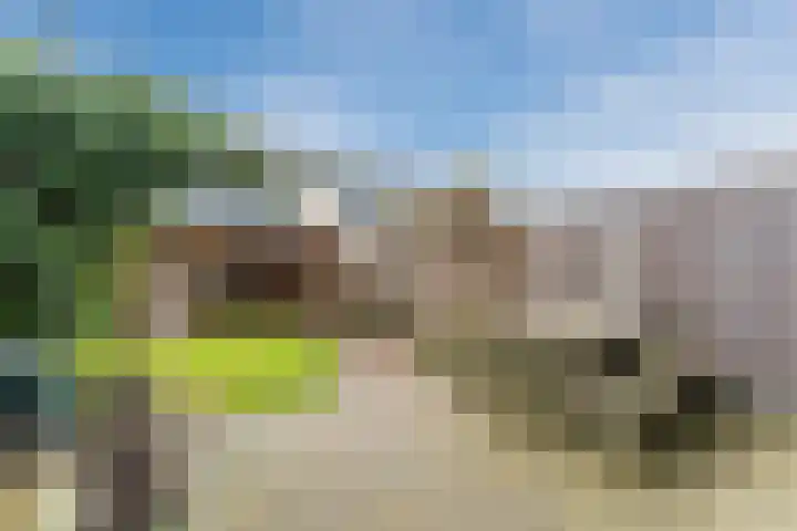 Waterscheerling 22 Amersfoort thumbnail 35
