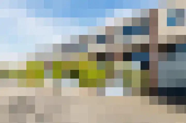 Waterscheerling 45 Amersfoort thumbnail 4