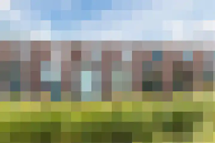 Waterscheerling 45 Amersfoort thumbnail 41