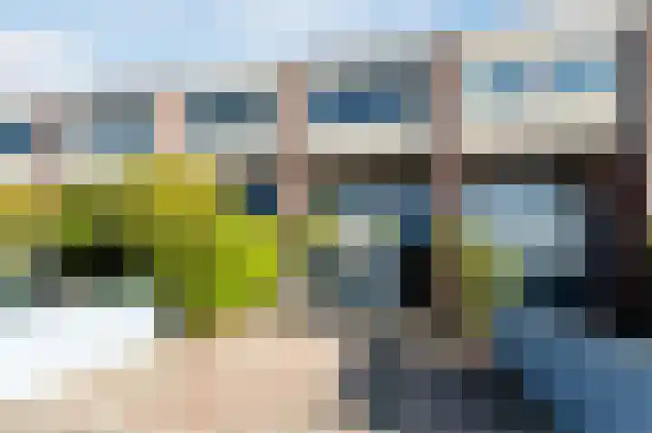 Waterscheerling 45 Amersfoort thumbnail 42