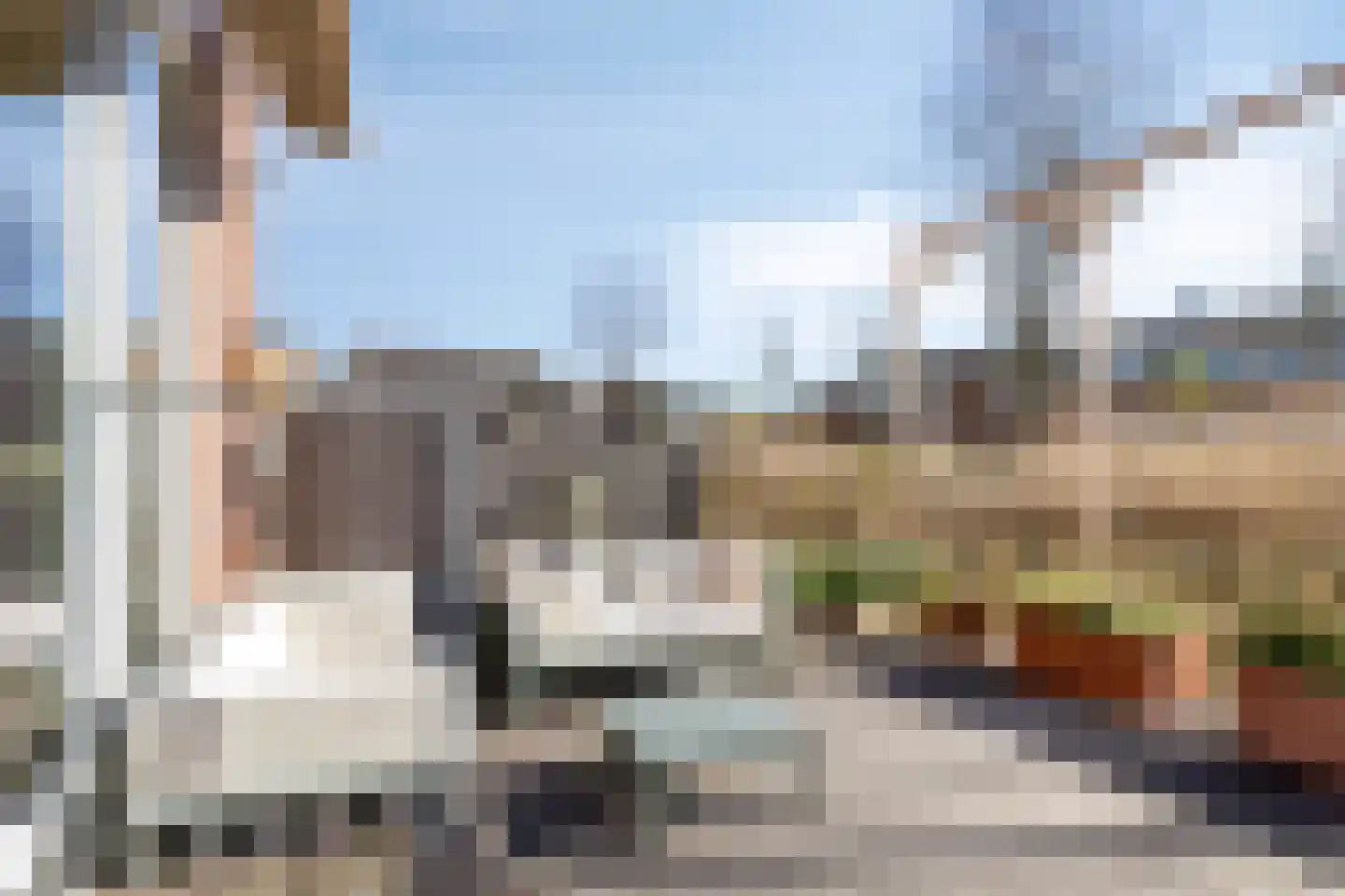 Waterscheerling 75 Amersfoort thumbnail 37