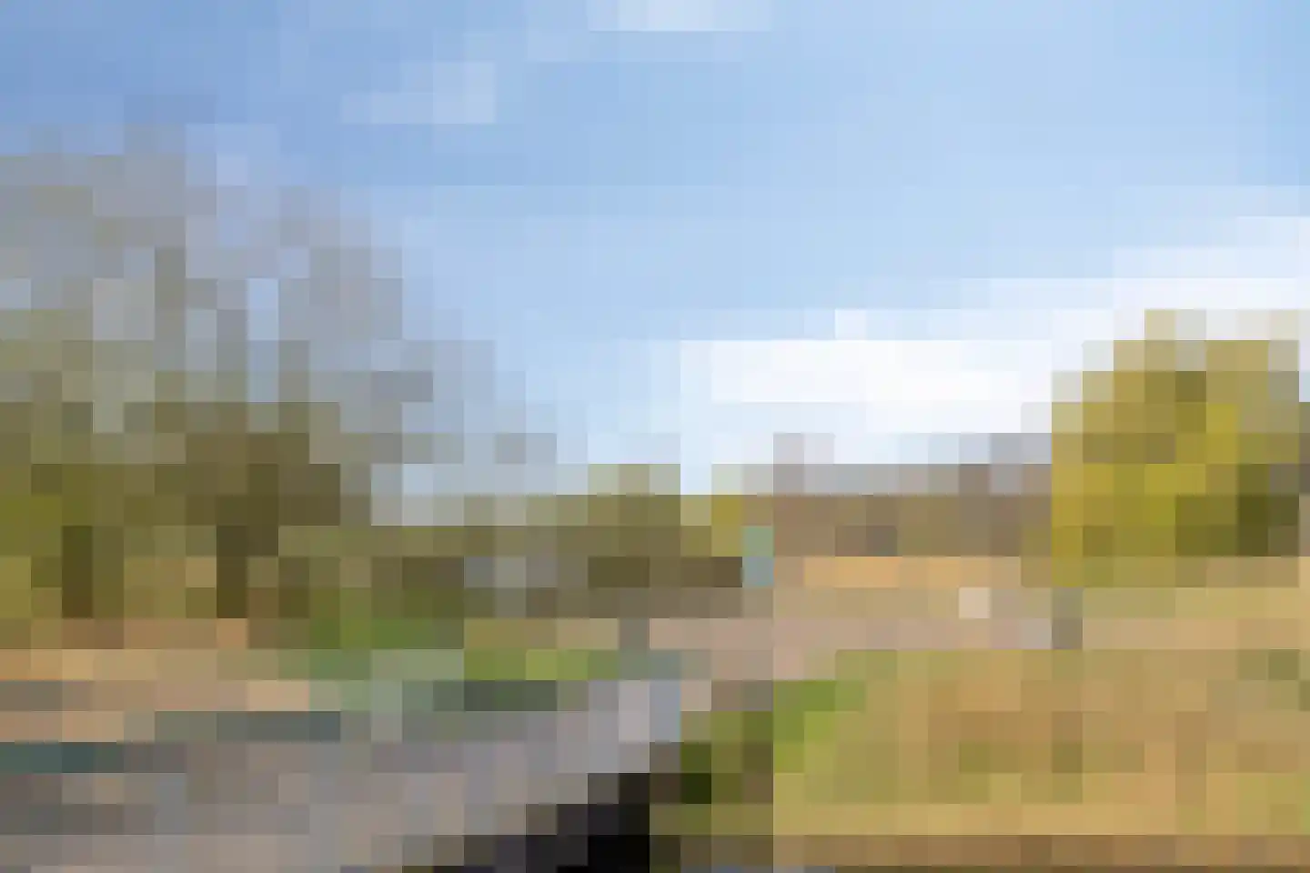 Waterscheerling 75 Amersfoort thumbnail 41