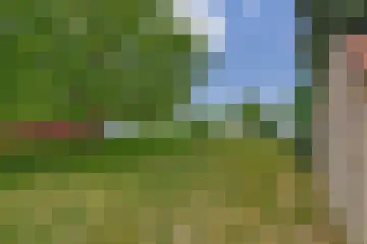 Waterschei 18 Melick thumbnail 11