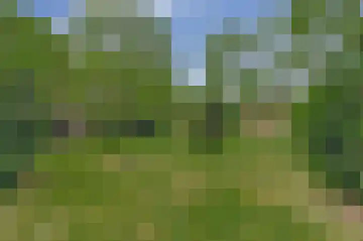 Waterschei 18 Melick thumbnail 14