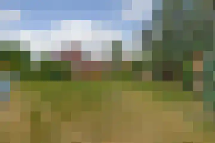 Waterschei 18 Melick thumbnail 15