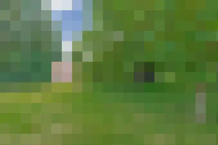 Waterschei 18 Melick thumbnail 17