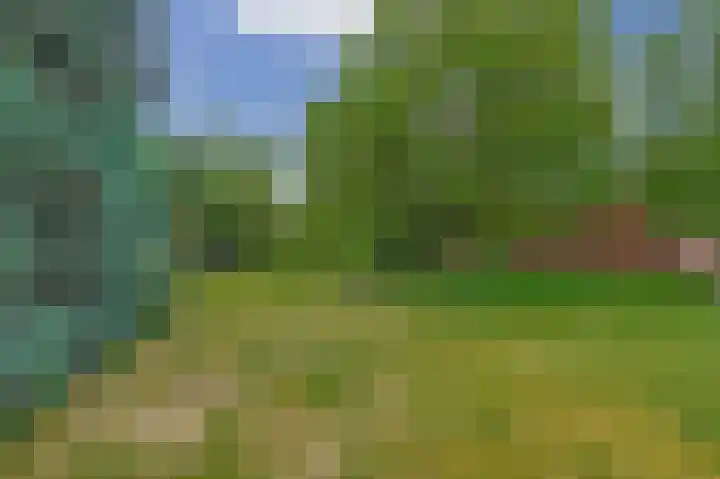 Waterschei 18 Melick thumbnail 18