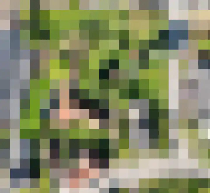 Waterschei 18 Melick thumbnail 21