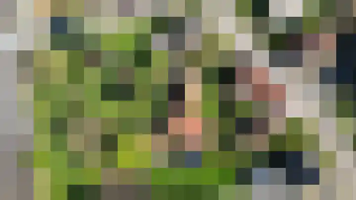 Waterschei 18 Melick thumbnail 27