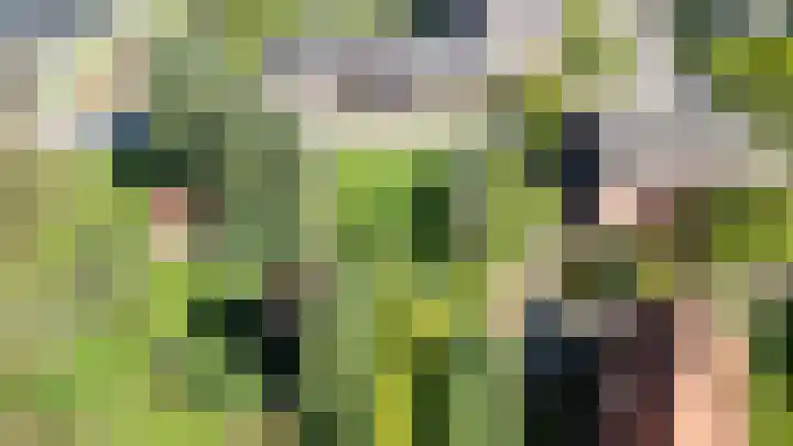 Waterschei 18 Melick thumbnail 29