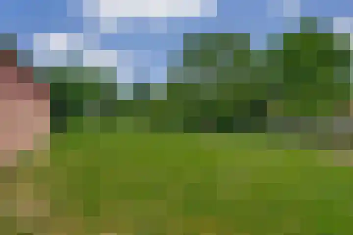 Waterschei 18 Melick thumbnail 7