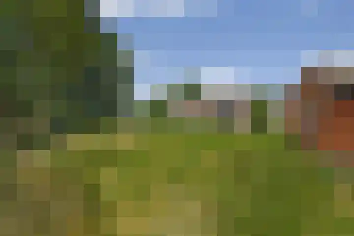 Waterschei 18 Melick thumbnail 9