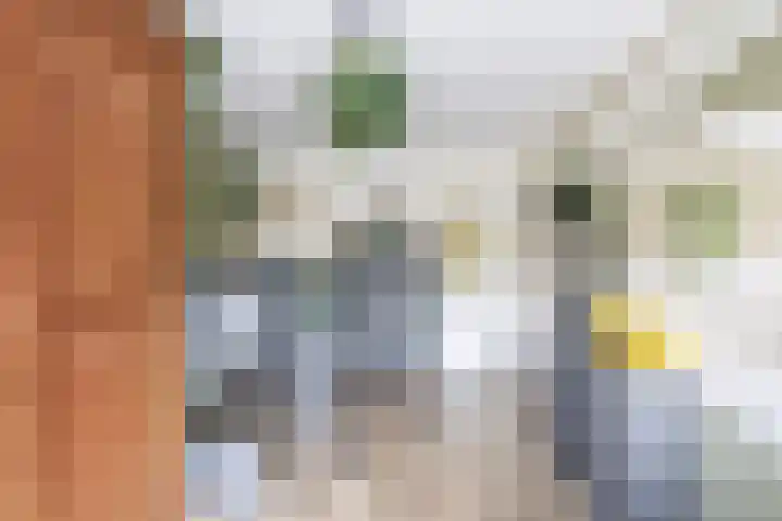 Waterschip 10 Brielle thumbnail 25