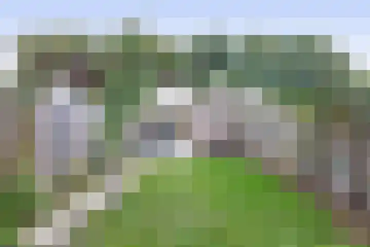 Waterschip 10 Brielle thumbnail 38